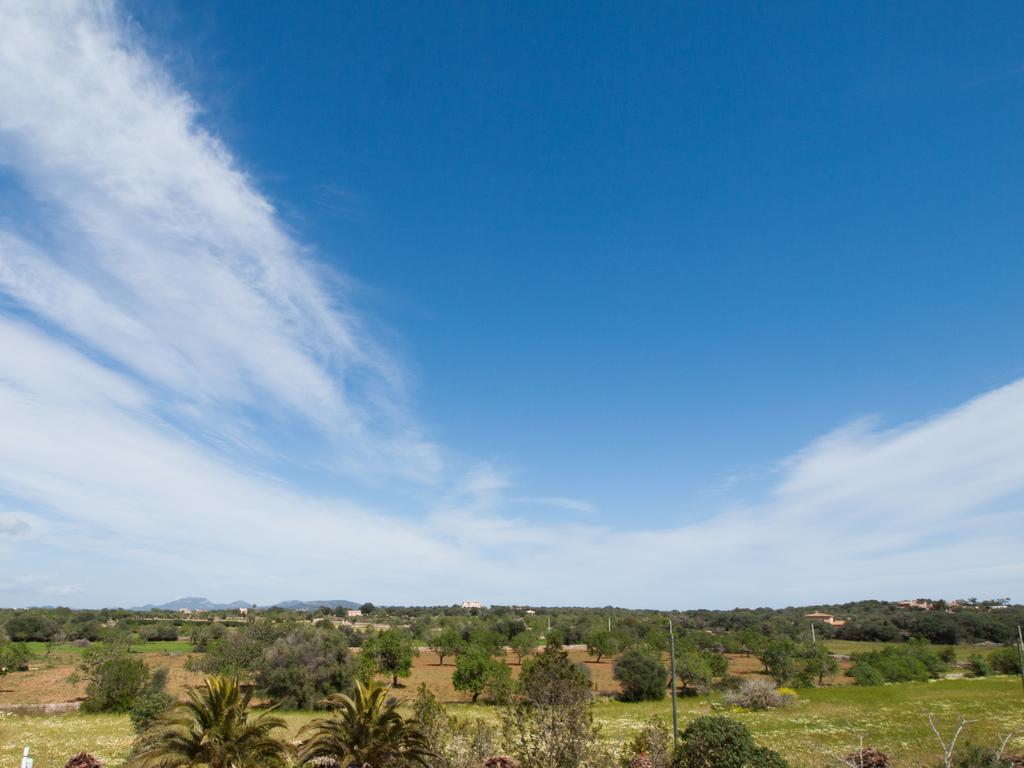 S´Hort de Can Carrió Ses Salines (Mallorca) Exterior foto